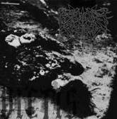 Reign Of Erebus : Vae Victis